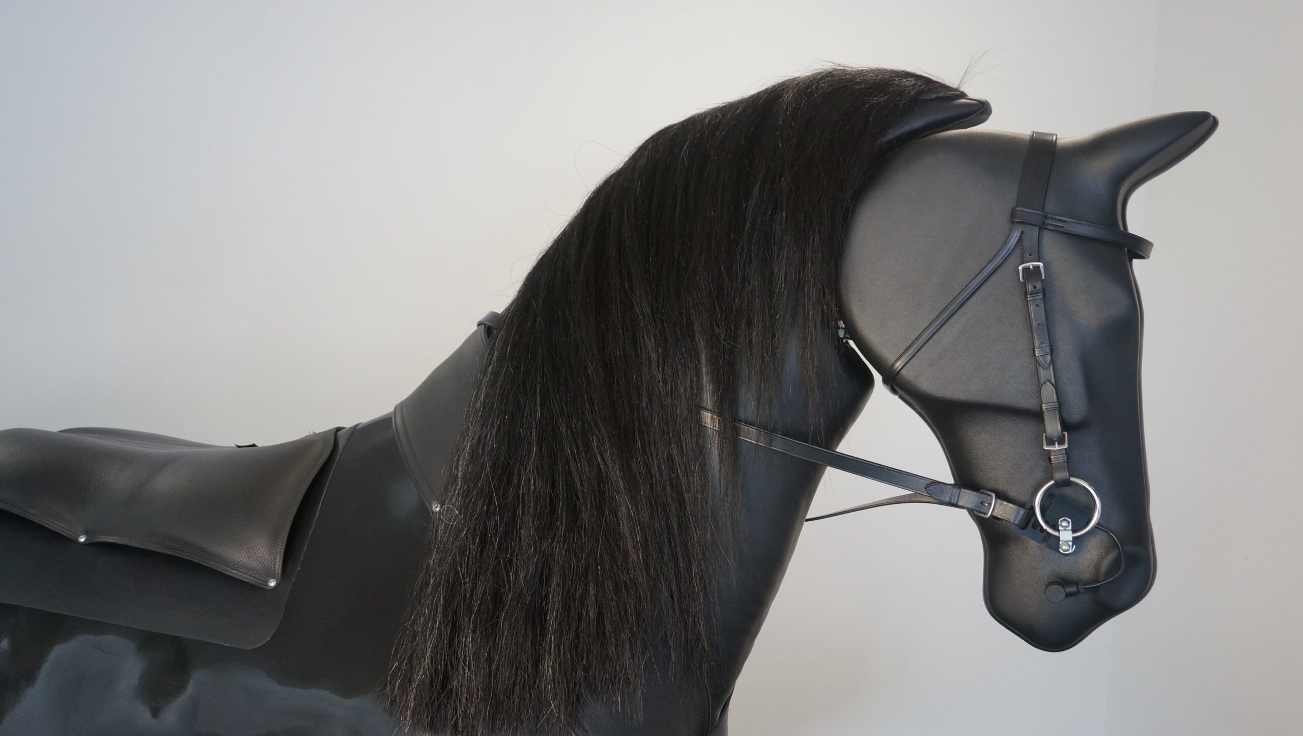 Reitsimulator Sir Keno in Erftstadt